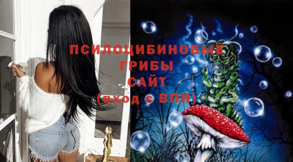 бошки Богородицк