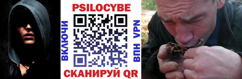Галлюциногенные грибы Psilocybine cubensis  Междуреченск 